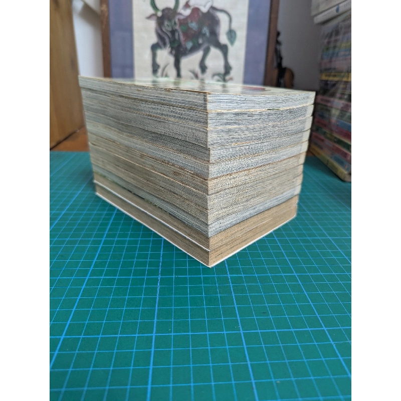 Truyện tranh Yotsuba & ! cỏ 4 lá ( TVM COMICS ) 413331