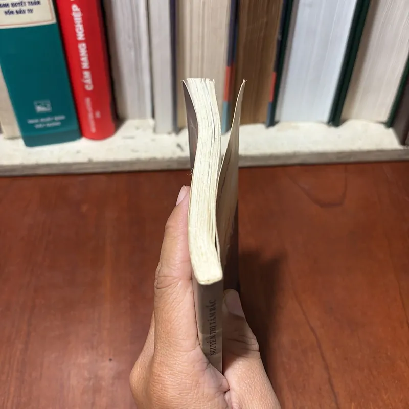 II Tập Ký: Huyền Thoại Trường Sơn - Nguyễn Thị Tâm Bắc - 2008 734548