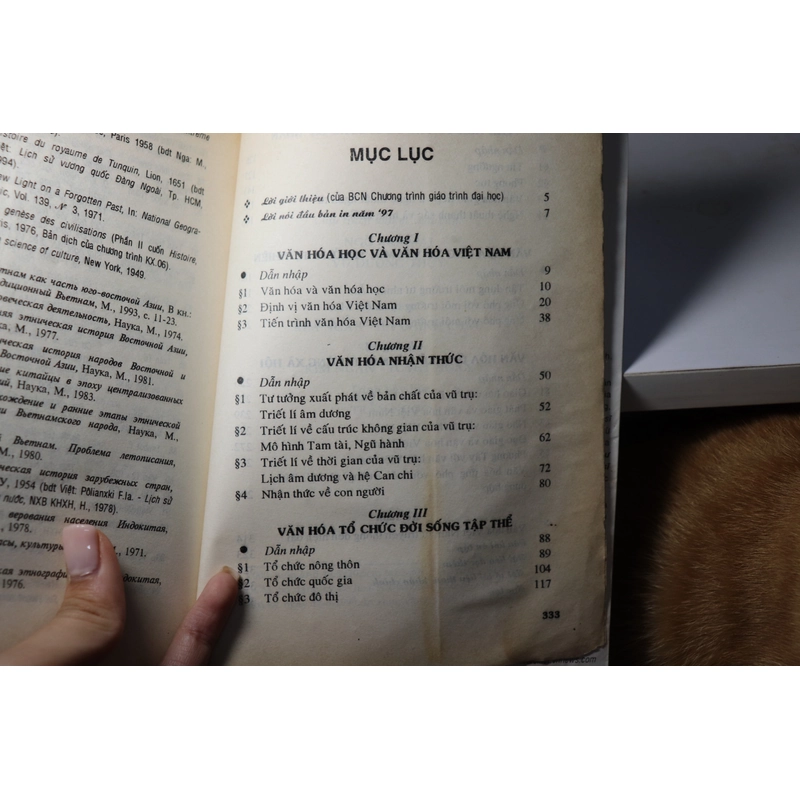 Cơ sở văn hoá Việt Nam 1999 - Trần Ngọc Thêm 465847