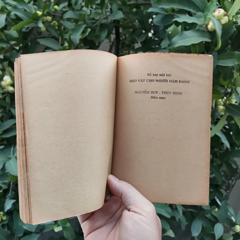 Mẹo Vặt Cho Người Đảm Đang - Nguyễn Duy - Thuỳ Minh 759351