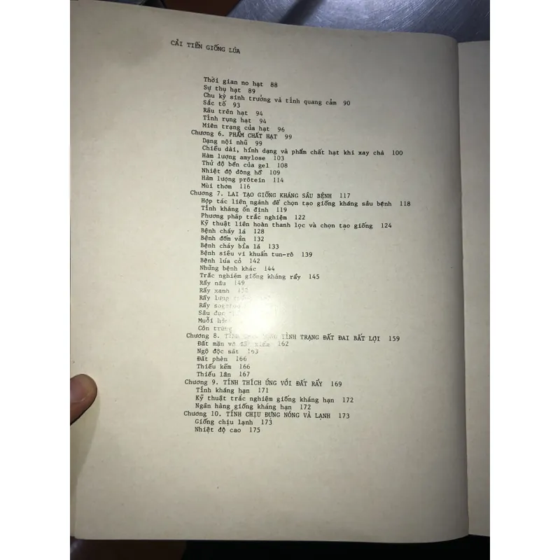 Cải tiến giống lúa  606080