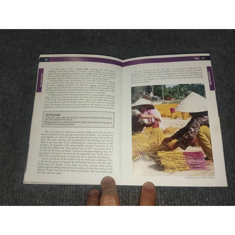 WORLD FOOD VIETNAM 993097