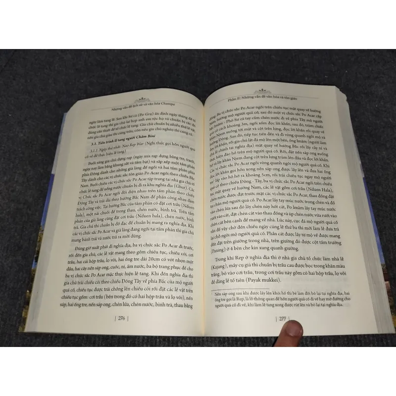 NHỮNG VẤN ĐỀ LỊCH SỬ VÀ VĂN HOÁ CHAMPA 992274