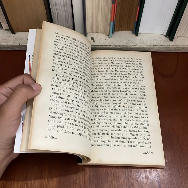 II Sách Phật Giáo: Thiền Thực Hành - Chogyam Trungpa - 2012 573373