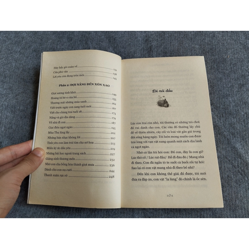 SỐNG CHẬM ĐỢI NẮNG LÊN 549091