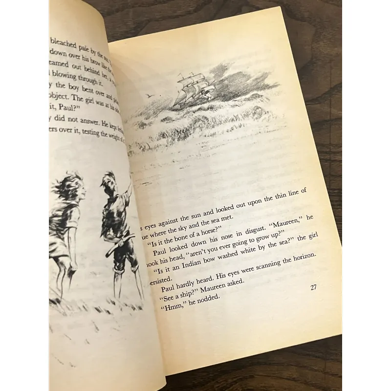 Misty of Chincoteague 972859