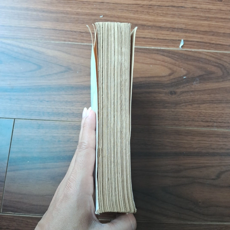 Trên bờ biển sáng 506404