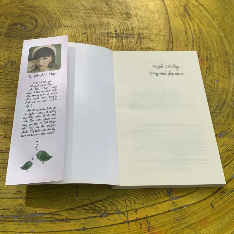 NHỮNG MẢNH GHÉP RỰC RỠ - Quỳnh Anh shyn 744929