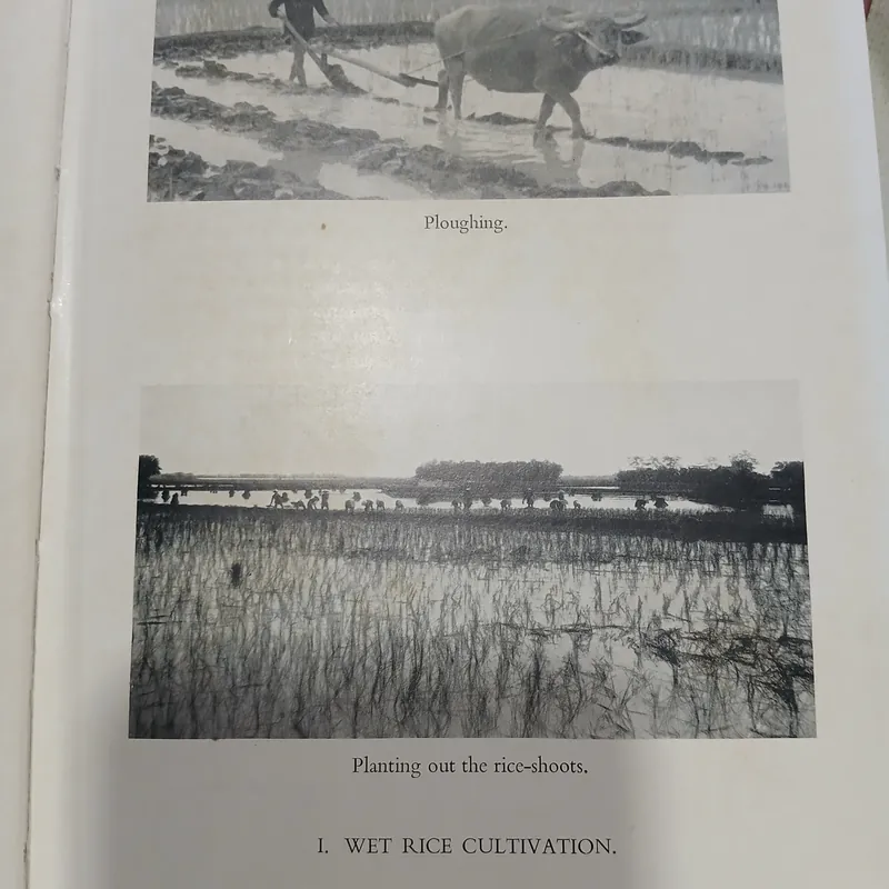 THE MAKING OF SOUTH EAST ASIA - SỰ HÌNH THÀNH ĐÔNG NAM Á  562132