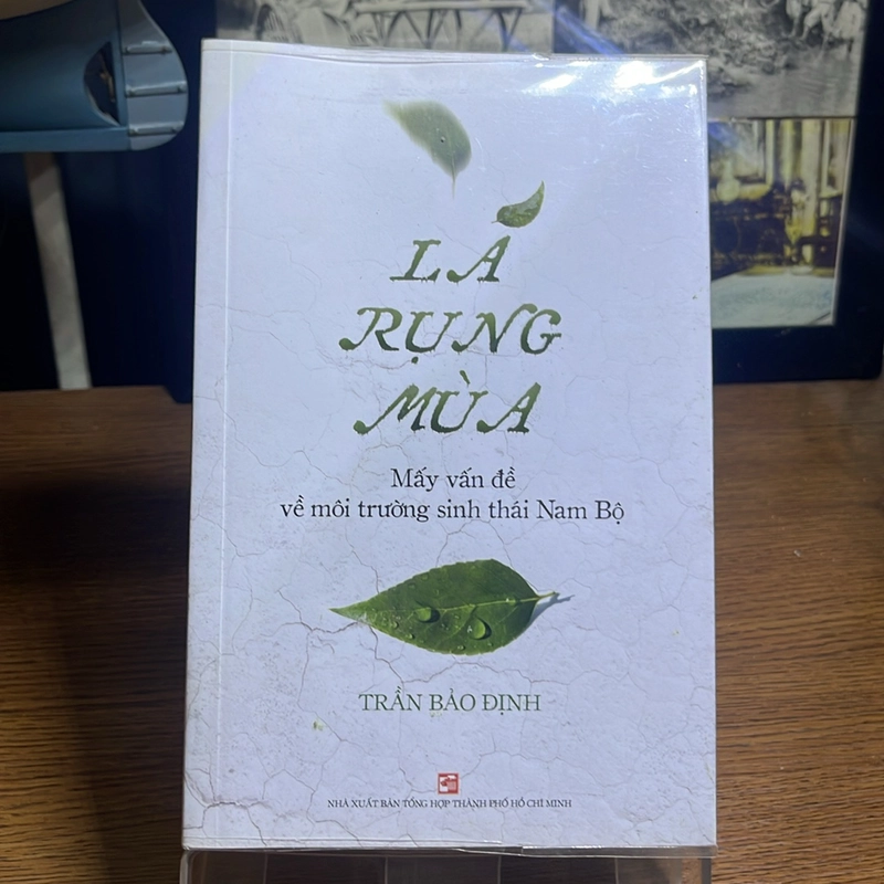 Lá rụng mùa Trần Bảo Định 508286