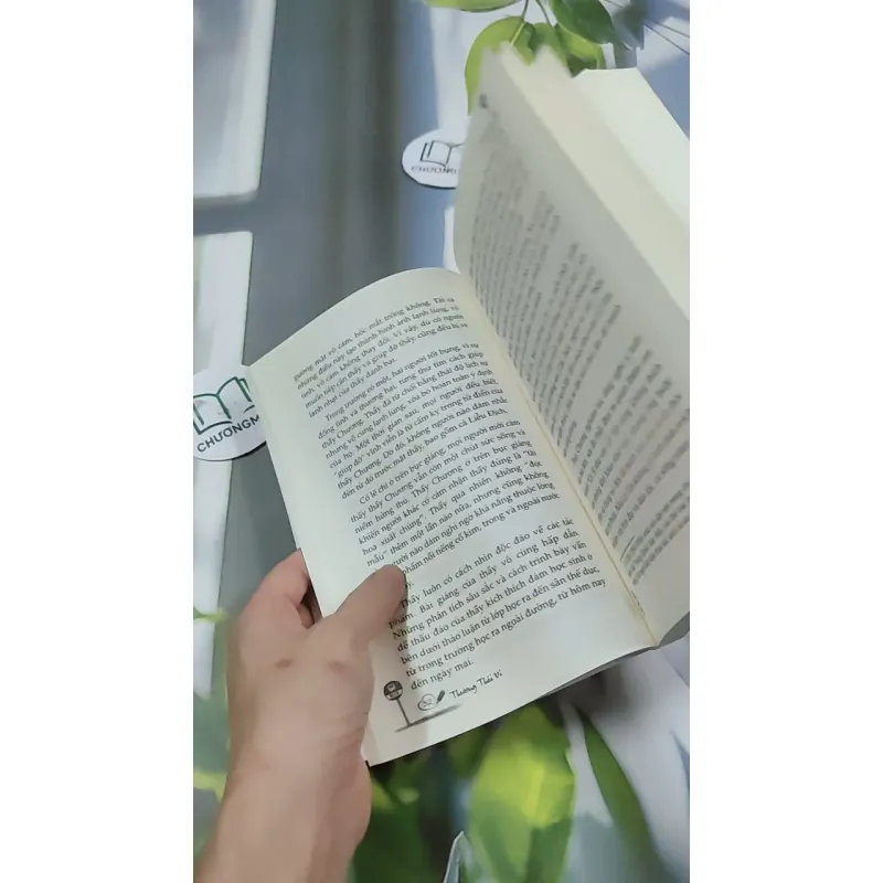 Bến Xe - Thương Thái Vi 744709