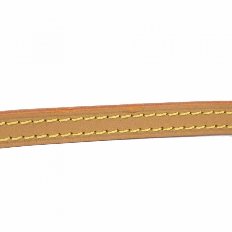 Túi xách Louis Vuitton Monogram Petit Sac Plat M81295 - Hàng hiệu Chính hãng 766318