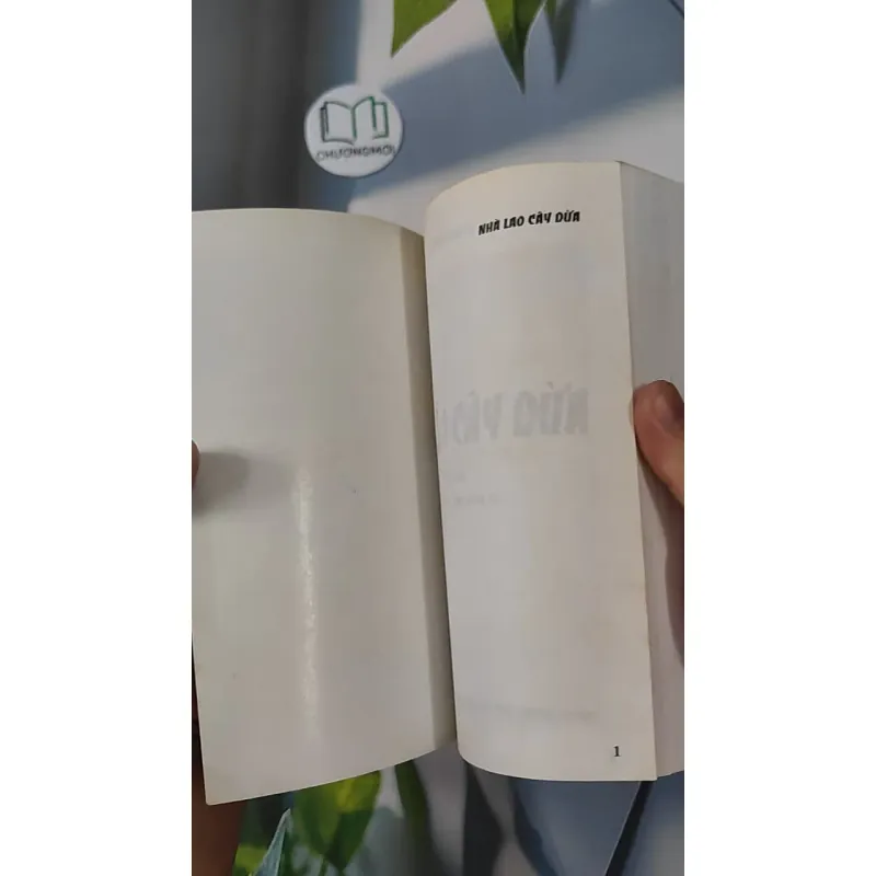 Nhà Lao Cây Dừa - Chu Lai 798338