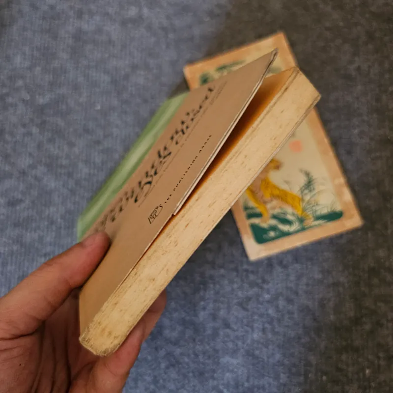 Vừa nhắm mắt vừa mở cửa sổ 735148