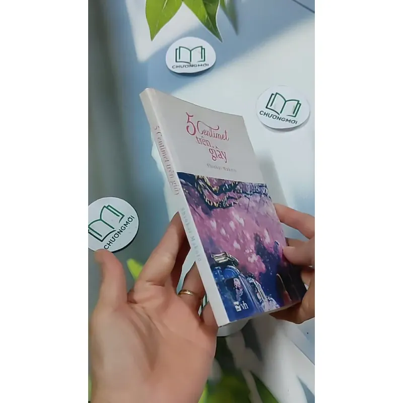 5 Centimet Trên Giây 703127