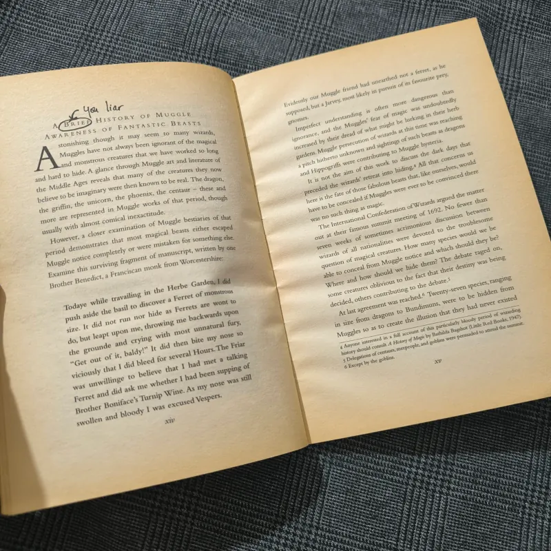 (Harry Potter) Fantastic Beasts & Where to find them - Newt Scamander 754573