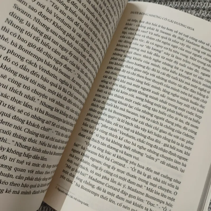 Dưới bóng những cô gái đương hoa - Marcel Proust 977211