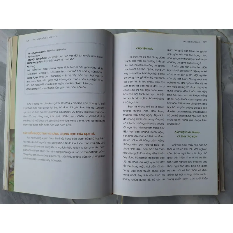 Năng Lượng Sống Từ Thảo Dược -Rosalee de la Forêt 604963