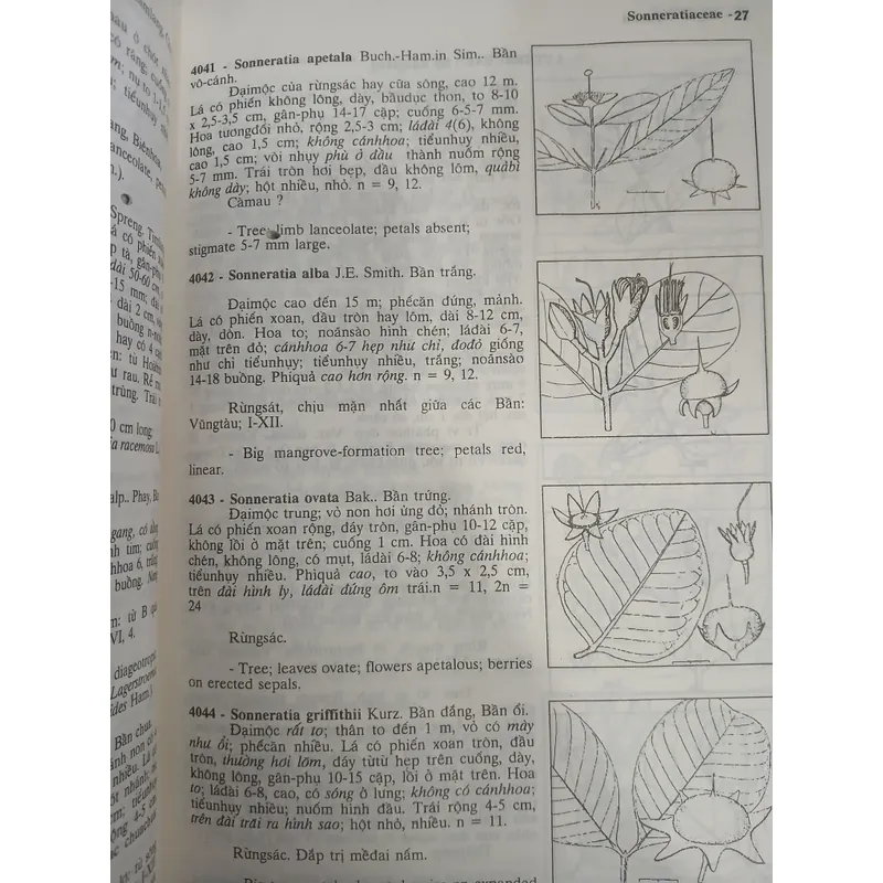 CÂY CỎ VIỆT NAM (QUYỂN I, II, III) - PHẠM HOÀNG HỘ 740112