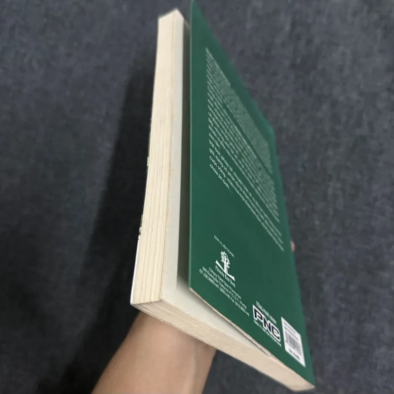 Quán rượu phố Huế - Hồng Phi 1010236