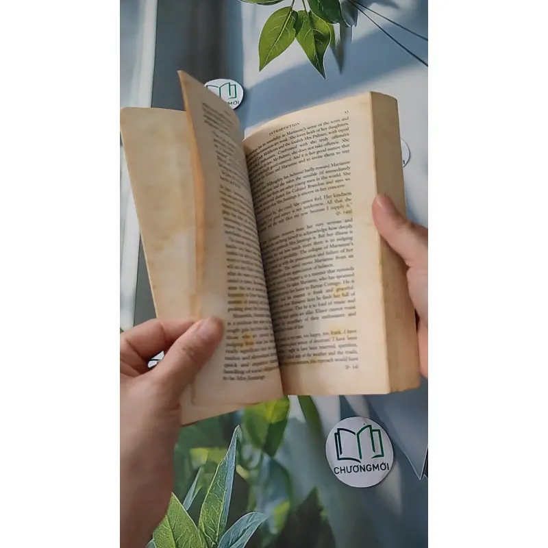 Sense and Sensibility - Jane Austen 1033593