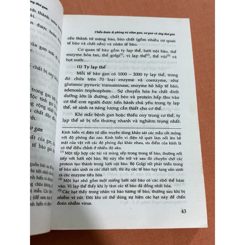 Chuẩn đoán và phòng trị gan 🌊 601931