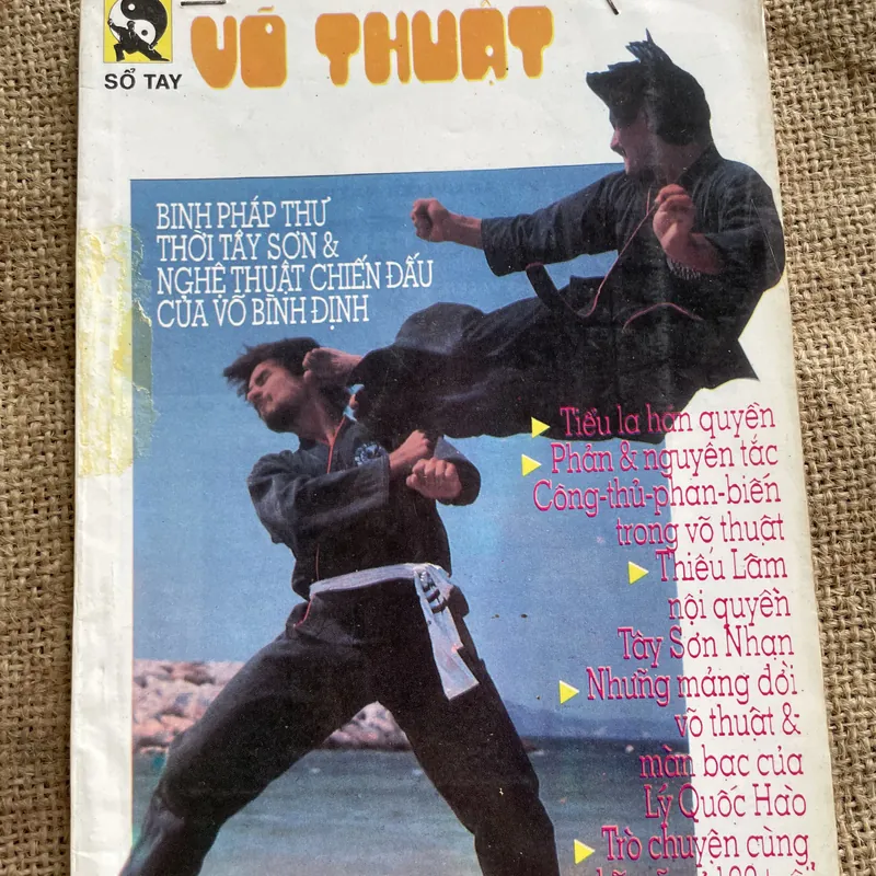 Võ Thuật: binh pháp thư thời Tây Sơn - Võ Bình Định 681281