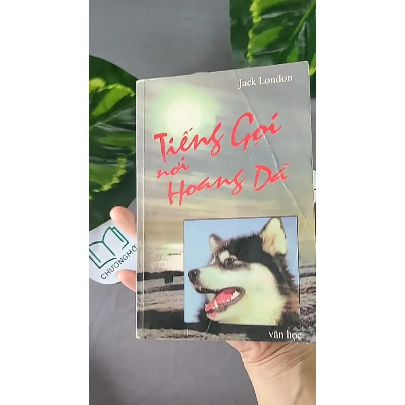 Tiếng Gọi Nơi Hoang Dã (1996) - Jack London 604594