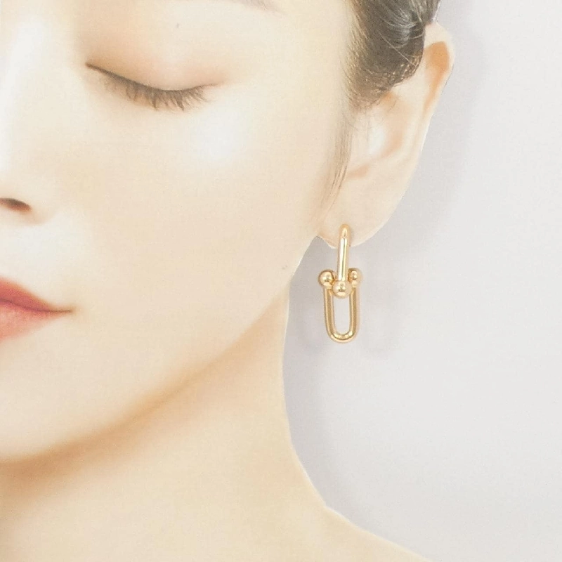 Khuyên tai lớn Tiffany Hardware Link - Hàng hiệu Authentic 845837