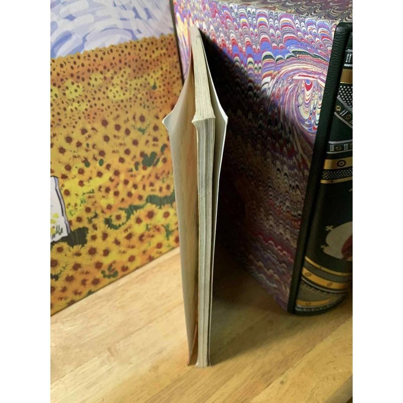 Flexagon Zillion và những ý tưởng toán học khác - Theoni Pappas 547477