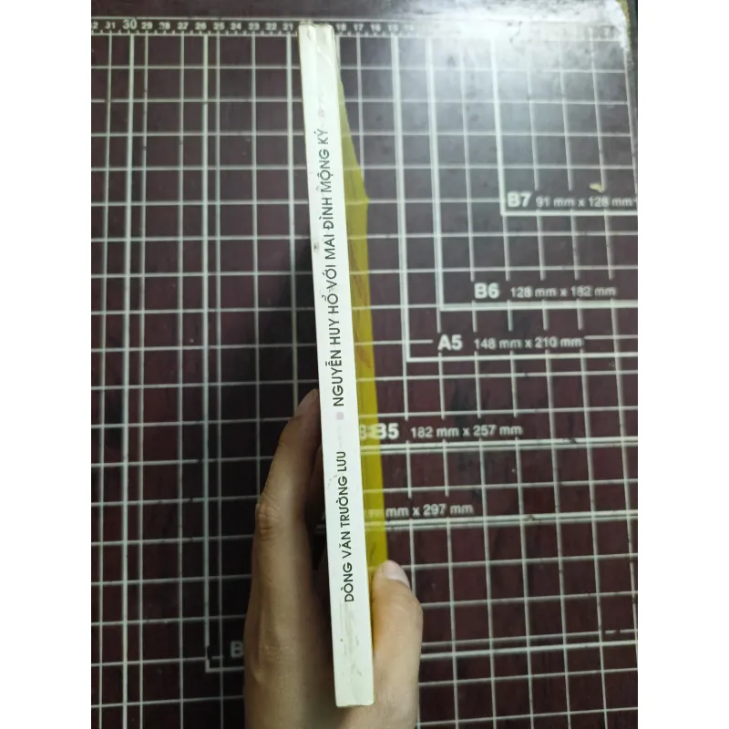 Nguyễn Huy Hổ với Mai Đình Mông Ký - Viện Văn Học 731182