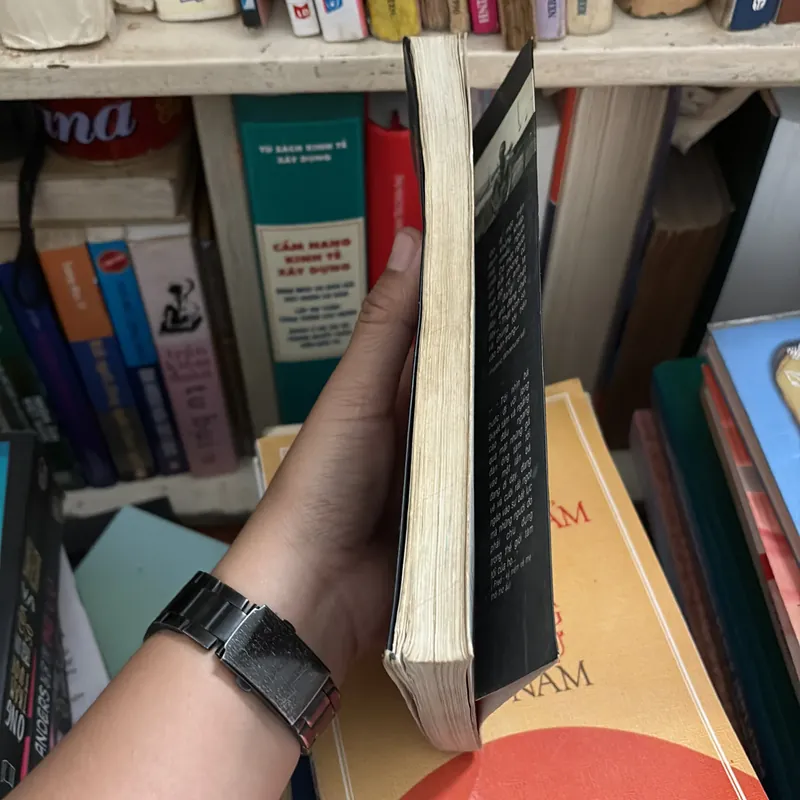 II Bí Mật Cuộc Đời Người Mỹ Làm “Sống Lại” Đặng Thuỳ Trâm - FREDERIC WHITEHURST - 2005 675182