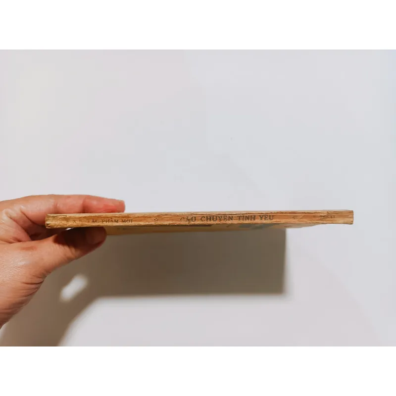 Câu Chuyện Tình Yêu - Erick Segai 745376