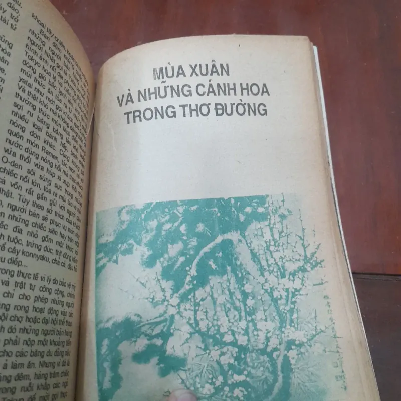 KIẾN THỨC PHỔ THÔNG Tân Mùi 1991 776789