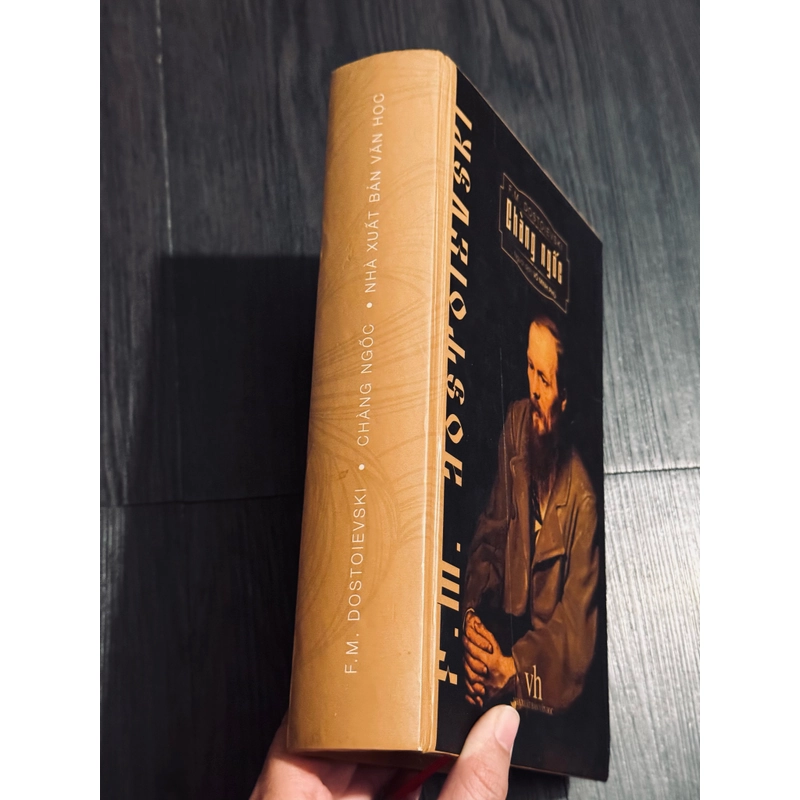 Chàng ngốc (bìa cứng, đọc mô tả) 537181