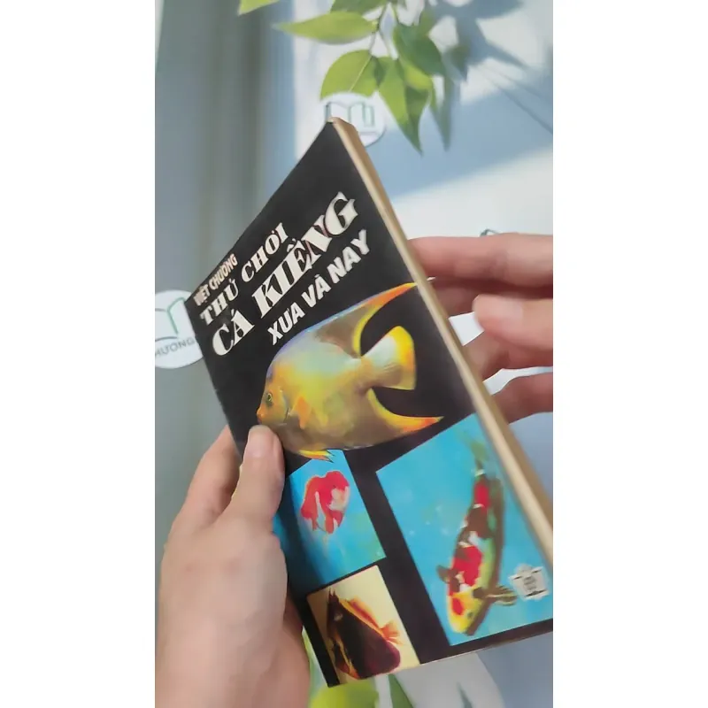 [XƯA] Thú Chơi Cá Kiểng Xưa Và Nay (1996) - Việt Chương 775981