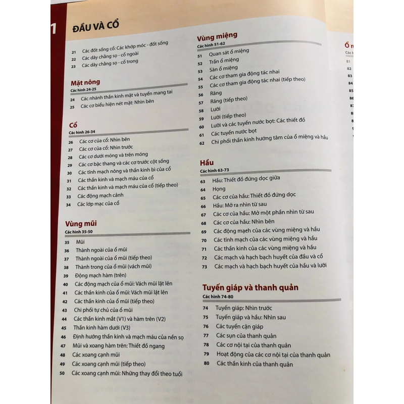 ATLAS GIẢI PHẪU NGƯỜI 5 479466