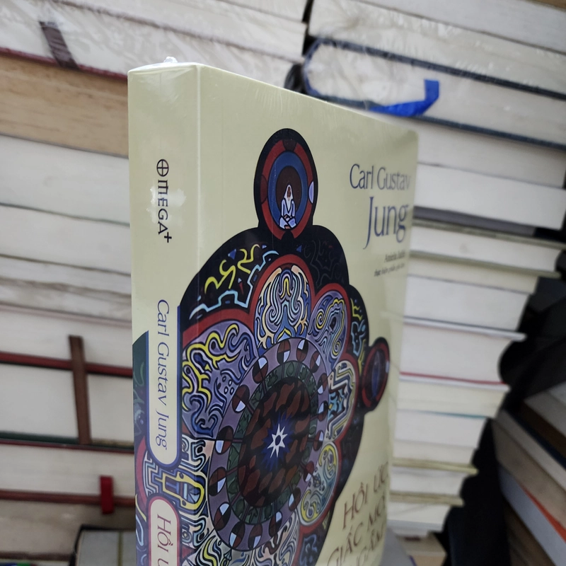 Hồi ức. Giấc mơ. Suy ngẫm | Carl Gustav Jung  551560