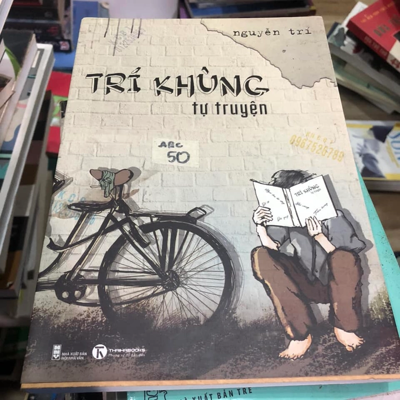 Trí khùng tự truyện - Nguyễn Trí 317279