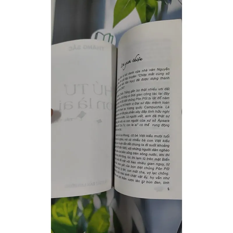 Chú Tư Con Là Ai - Thăng Sắc 798465