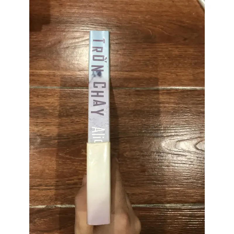 Trốn chạy - Alice Munro (6) 781619