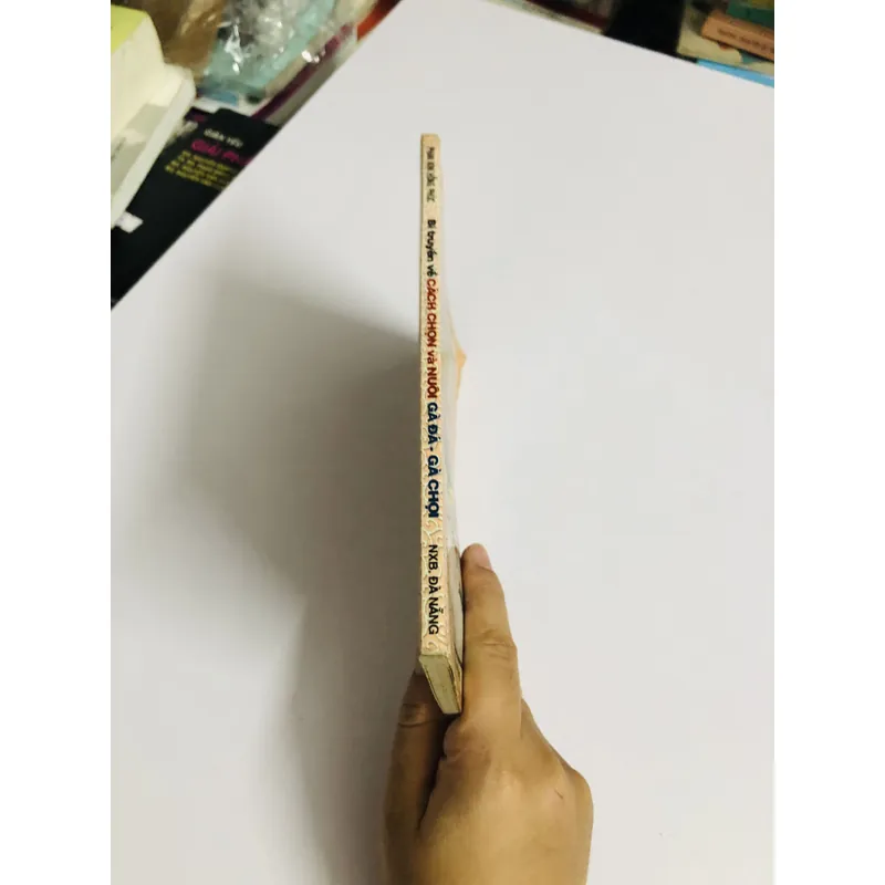 BÍ TRUYỀN VỀ CÁCH CHỌN VÀ NUÔI GÀ ĐÁ GÀ CHỌI 726867