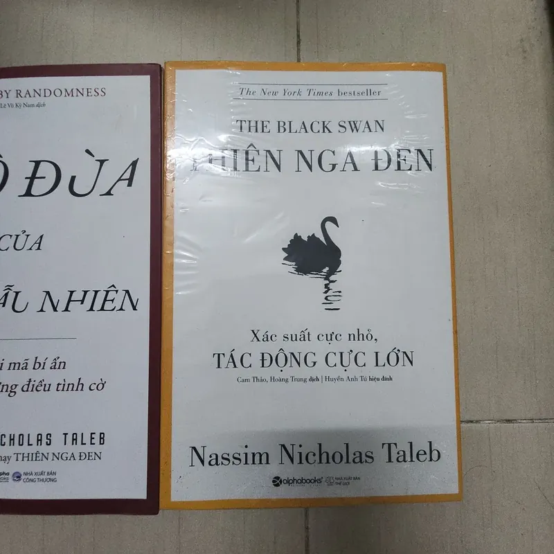 Sách combo 2 quyển Thiên nga đen và Trò đùa của sự ngẫu nhiên 717309