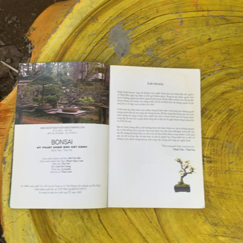  BONSAI KỸ THUẬT CHĂM SÓC CÂY CẢNH  759675