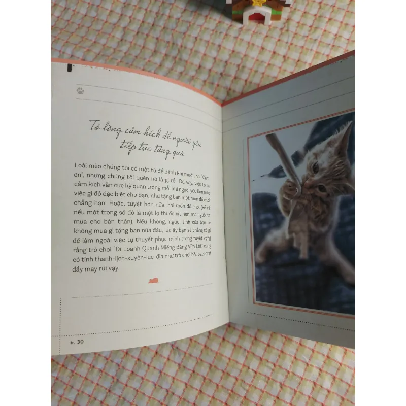 NGỦ THẬT LÂU - YÊU THẬT SÂU _ Những lời khuyên thông thái từ loài mèo _ 713491