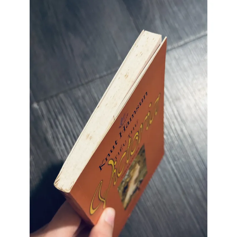 Tiểu thư Victoria - Knut Hamsun 689612