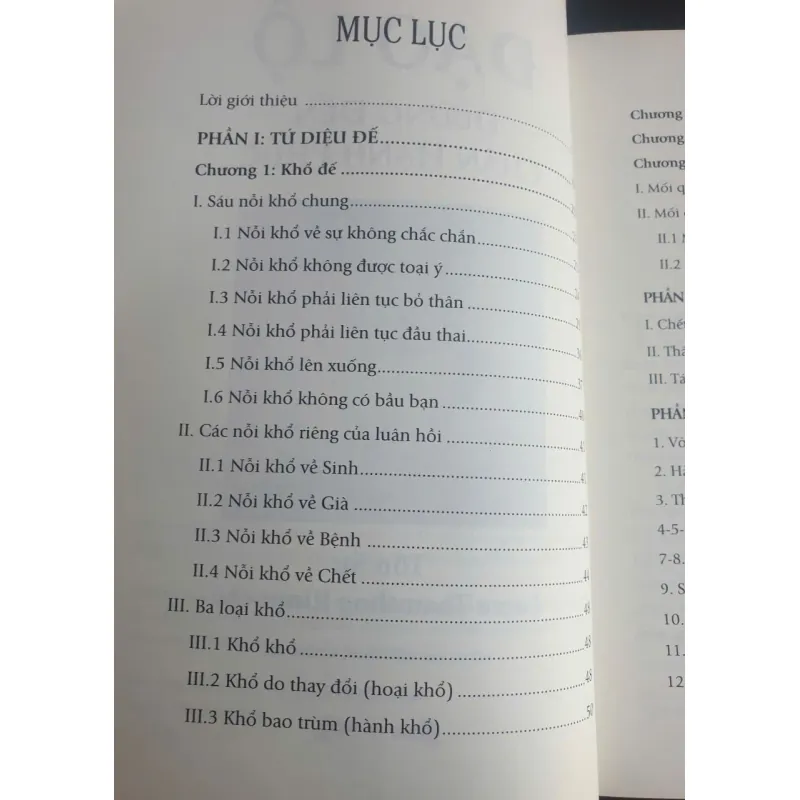 Đạo Lộ - Đường Đến Chân Hạnh Phúc - Tôn Sư Lama Thamthog Rinpoche 736877