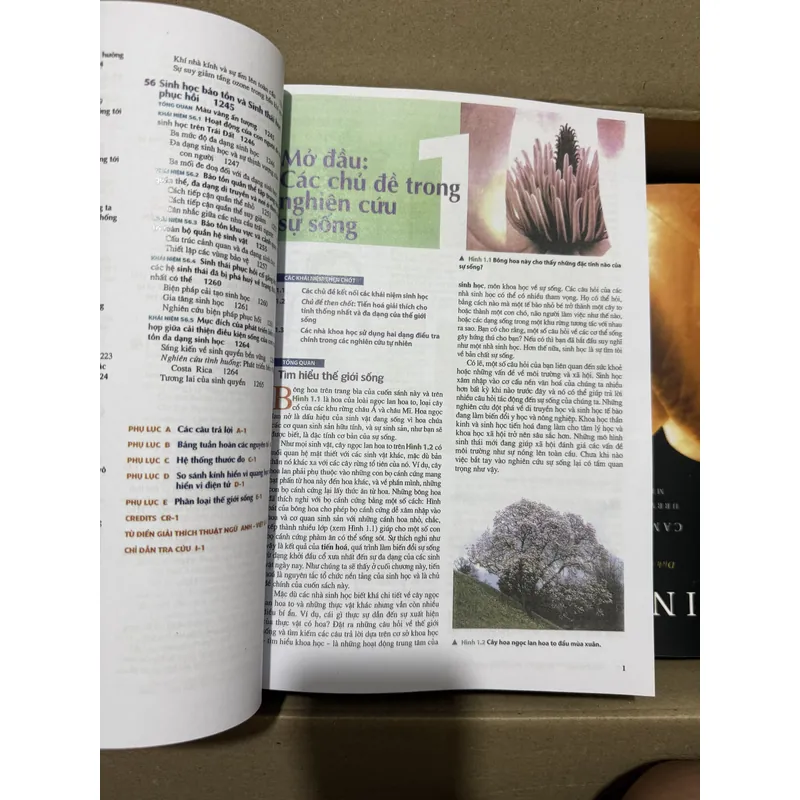 [Miễn ship] Sách Sinh Học Campbell Reece 707824