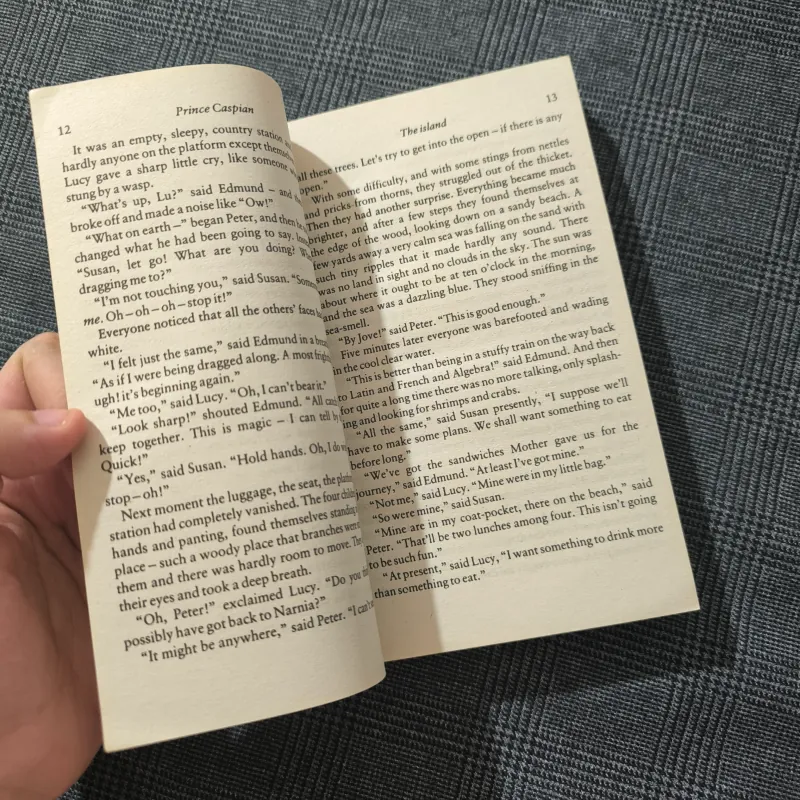 The Chronicles of Narnia (Book 4): Prince Caspian - C.S.Lewis 754583