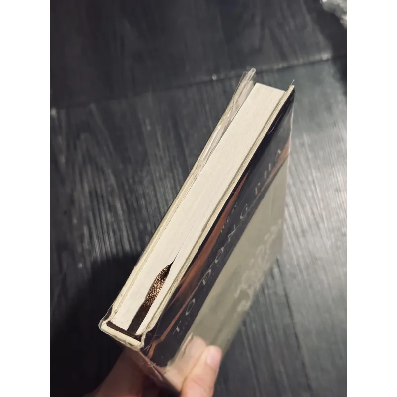 Tô Đông Pha - Tuệ Sỹ (bìa cứng) 689609